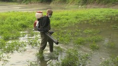 Po silných búrkach prichádza na rad boj s komármi. Pracovníci s postrekmi zasahovali na Devíne