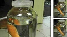 Inzerát, ktorý vás zaručene pobaví. Muž predával na "bazosi" snehuliaka