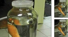 Inzerát, ktorý vás zaručene pobaví. Muž predával na "bazosi" snehuliaka