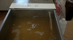 Sen každého pivára: Vyrobte si vlastné pivo doma a jednoducho