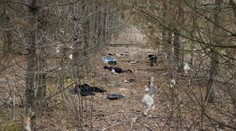 Maďarská polícia zadržala slovenského prevádzača a cez tisíc imigrantov