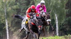 Veľkú pardubickú po troch dekádach ovládol zahraničný kôň. Slovák Matuský siahal na top päťku