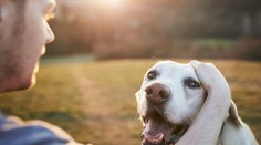 Mužovi zistili rovnakú diagnózu ako jeho psovi. Teraz spolu prežívajú posledné chvíle