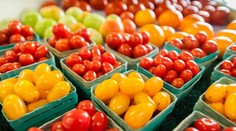 Nie každý by mal jesť paradajky. Odborníci upozorňujú, komu môžu skôr uškodiť než pomôcť