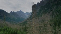 Lesníci sú skeptickí: Miznú nám krásy Slovenska pred očami?