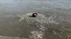 Žena, ktorú z Dunaja vytiahli odvážni policajti, na druhý deň zomrela v nemocnici