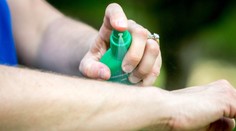 Ako sa v letných mesiacoch vyhnúť komárom? Prinášame vám päť tipov na to, ako ostať bez štípancov