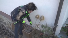 Teplé dni by mali využiť najmä záhradkári. Aj odborník pripomína, aby sa poponáhľali