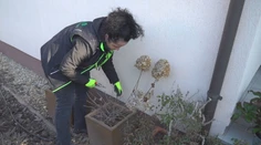 Teplé dni by mali využiť najmä záhradkári. Aj odborník pripomína, aby sa poponáhľali