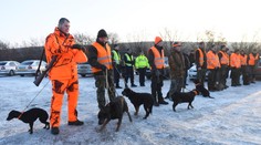 Na Sídlisku Ťahanovce odstrelili pri mimoriadnom love 12 diviakov