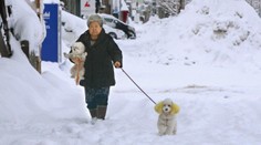 Severné a stredné Japonsko zavalili masy snehu