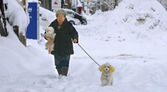 Severné a stredné Japonsko zavalili masy snehu