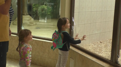 Opadáva omietka a popraskali sklá. Pavilón opíc v bojnickej ZOO sa dočká veľkej rekonštrukcie