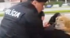 Agresívneho expolicajta Tiefenbacha spoza mreží nepustili