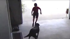 Chlapec každý deň chodil potajomky ku susedom. Dôvod dojal tisícky ľudí