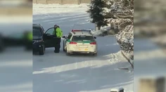 Novinárku Tódovú opäť niekto sledoval. Indície ukazujú na Smer, ten to odmieta
