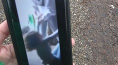 Šírenie krutých videí z Miloslavova polícia zatiaľ nestíha, zákon o kyberšikane sa nedá použiť