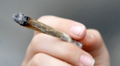 Nemecko chce zlegalizovať marihuanu na rekreačné účely