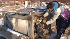 Kradnúť drevo sa neoplatí. Mestskí policajti dávajú za to pokuty