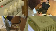 Hnus v Zámene manželiek: To fakt takto žijú?