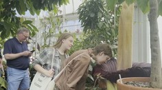 Zapácha ako hnijúce vajíčka, mŕtvy vták alebo plienka. Začína kvitnúť najsmradľavejšia rastlina