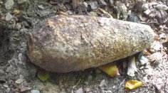 Hubári pozor! V okolí Levíc a Zlatých Moraviec môžete namiesto hríbov nájsť míny