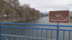 Miestni bojujú o desiatky stromov pri Váhu. Radnica plánuje výrub, susedné mesto ukazuje inú cestu