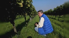 Podnikanie v súlade s prírodou nebolo v móde, no skúsili to. Teraz produkujú unikátne ekologické víno