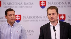 OĽaNO-NOVA zverejnila kandidátku. V prvej trojke sú dve ženy