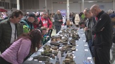 Niektoré zmestíte do dlane, iné zaberú aj pol stola. Modelári z celej Európy ukázali v Nitre svoje diela