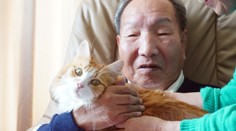 Polstoročie čakal na trest smrti za vraždy, ktoré nespáchal. Boxer Iwao Hakamada sa dočká odškodného