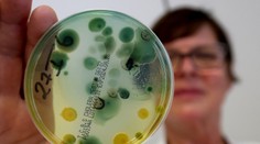 V pobrežných oblastiach dvoch európskych morí sa premnožila nebezpečná baktéria