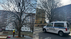 VIDEO: Kuriózny nález v Senici. Museli privolať špecialistu