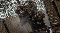 Expert prezradil, čo najviac limituje Európu pri mierovej misii. Ako by mohla vyzerať?