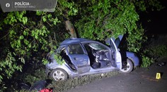 Štyria mladí ľudia vleteli pri Šali do stromu. Ten najmladší nehodu neprežil