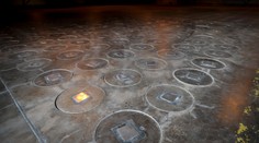 Rádioaktívne osie hniezdo v areáli jadrového zariadenia desí Američanov. Odborníkov vysvetlenie úradov neuspokojilo