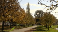 Čaká nás burčiak, farby a dobré jedlo. Oddnes máme oficiálne jeseň