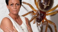 Kaderníčku pohrýzol pavúk, prišla o jeden prst