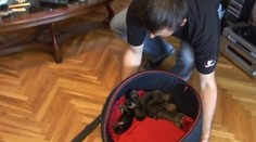 Také psíky sa vraj na Slovensku ešte nenarodili