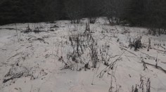 Mesiace po tragédii sú na dne Liptovskej Mary nebezpečné kaly. Dá sa v nej kúpať?