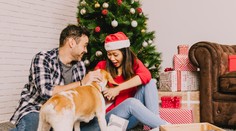 Zvieratá ako darček: Pri výbere domáceho miláčika myslite zodpovedne