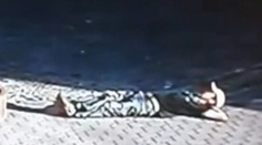 Opitý Poliak si ustlal na ceste, po hlave mu prešlo auto. Nič sa mu nestalo!