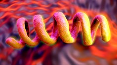 Stovky Slovákov so syfilisom ostali bez lieku