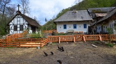 TEST: Ako dobre poznáte život na Farme?