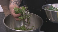 Nie je vždy to väčšie aj lepšie. Mikro zelenina či bylinky obsahujú väčšiu dávku vitamínov