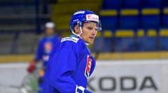 NHL: Washington vymenil Pánika do Detroitu