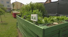 Vädne vám záhrada? Odborníčka radí, kedy ju počas horúčav nikdy nepolievať