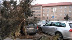 Na viacerých miestach Slovenska hrozí silný vietor, na hrebeňoch Tatier orkán