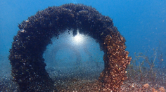 Ničí jedno alpské jazero za druhým. Nezastaviteľný invázny druh prenikol aj do slovenského úseku Dunaja