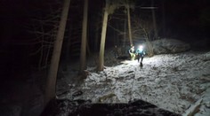 Útok medvedice na Liptove vyvolal vášne. Známy ekológ ukázal na problém, ktorý mohol stáť za celým nešťastím